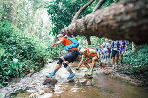 BIB: 
                            <button type="button" onclick="openModal(25373894)" class="btn btn-primary btn-sm float-right btn-popup" data-toggle="modal" data-target=".modal-high-quality">
                        <i class="fas fa-shopping-cart"></i> Add to Cart
                    </button>
                                            <button type="button" onclick="isThisMe(25373894, true)" class="btn btn-success btn-sm float-right btn-popup btn-isme hidden" data-toggle="tooltip" data-placement="bottom" title="นี่คือรูปของคุณใช่ไหม คลิกที่นี่เพื่อเอาเข้าอัลบั้ม">
                        <i class="fas fa-plus"></i> Add to album
                    </button>
                    <button type="button" onclick="isThisMe(25373894, false)" class="btn btn-warning btn-sm float-right btn-popup btn-isnotme hidden">
                        <i class="fas fa-ban"></i> Remove from album
                    </button>